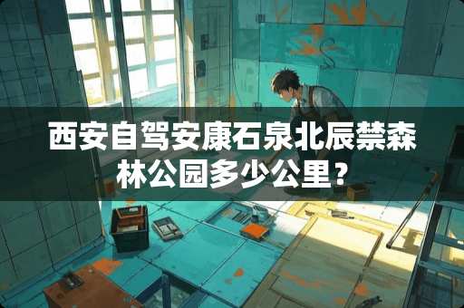 西安自驾安康石泉北辰禁森林公园多少公里？