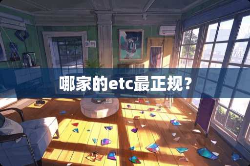 哪家的etc最正规？