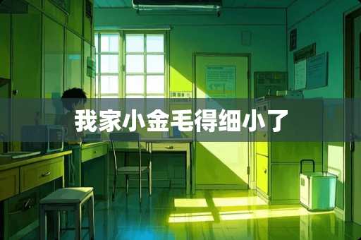 我家小金毛得细小了