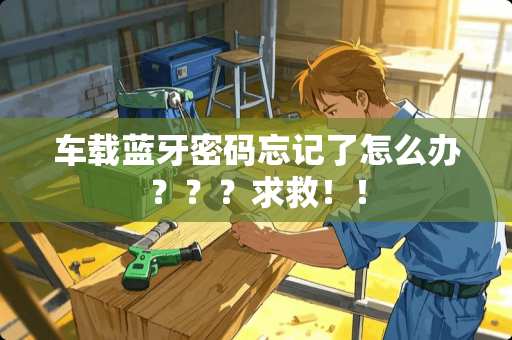 车载蓝牙密码忘记了怎么办？？？求救！！