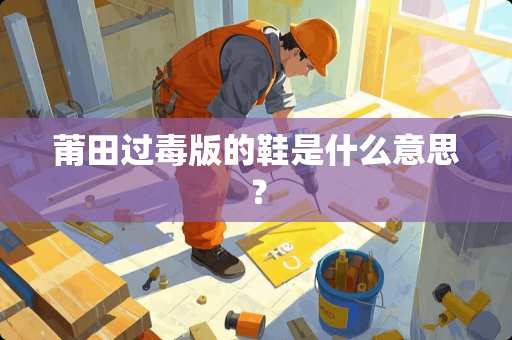 莆田过毒版的鞋是什么意思？