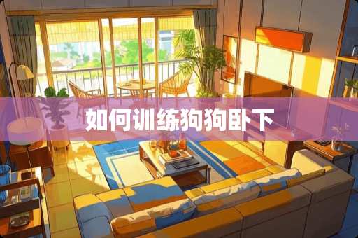 如何训练狗狗卧下