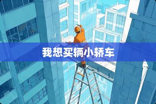 我想买辆小轿车