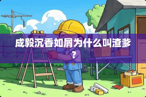 成毅沉香如屑为什么叫渣爹？