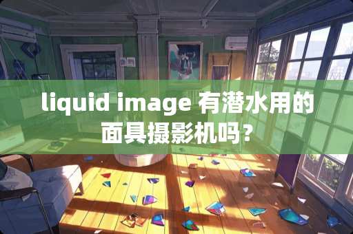 liquid image 有潜水用的**摄影机吗？