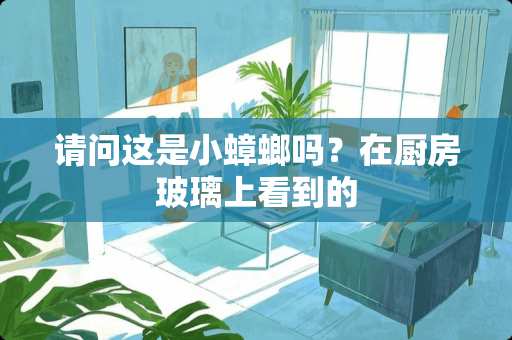 请问这是小蟑螂吗？在厨房玻璃上看到的