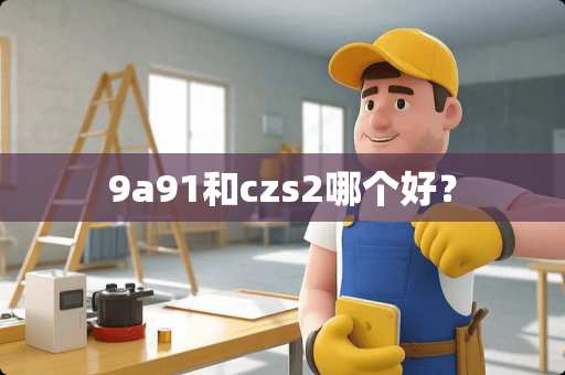 9a91和czs2哪个好？