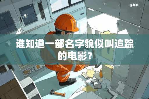 谁知道一部名字貌似叫追踪的电影？