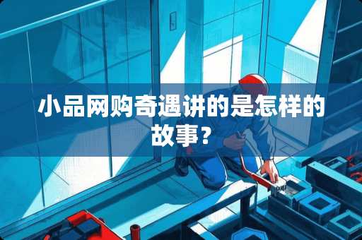 小品网购奇遇讲的是怎样的故事？