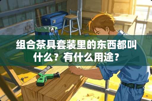 组合茶具套装里的东西都叫什么？有什么用途？