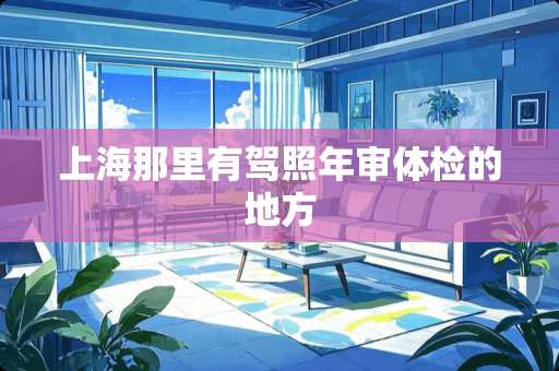 上海那里有驾照年审体检的地方