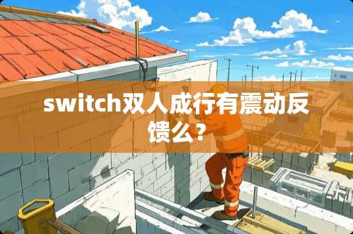 switch双人成行有震动反馈么？