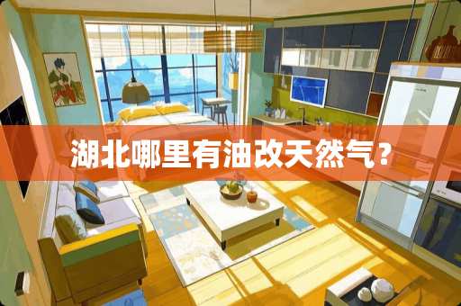 湖北哪里有油改天然气？
