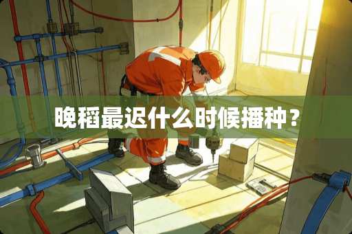 晚稻最迟什么时候播种？