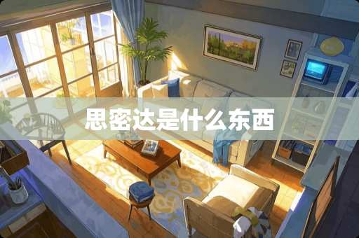 思密达是什么东西