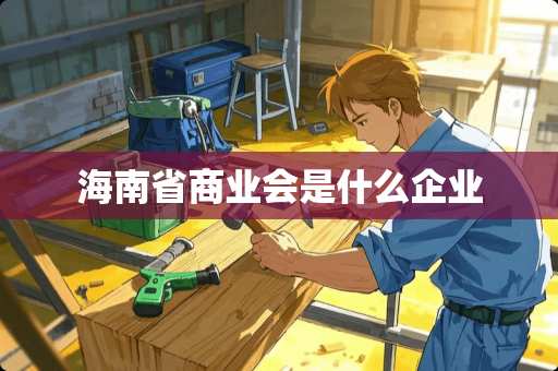 海南省商业会是什么企业