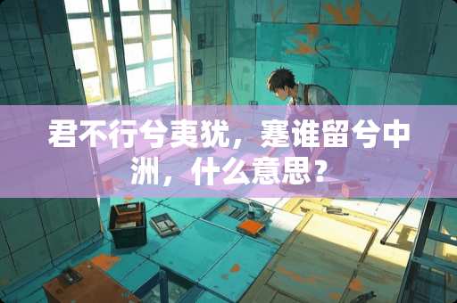 君不行兮夷犹，蹇谁留兮中洲，什么意思？