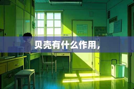 贝壳有什么作用，