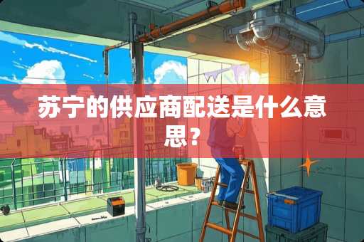 苏宁的供应商配送是什么意思？