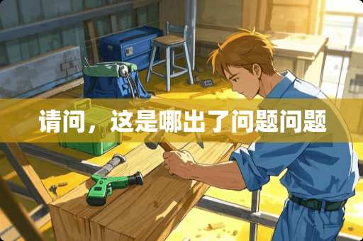 请问，这是哪出了问题问题