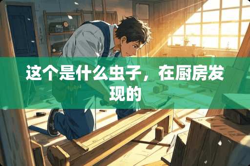 这个是什么虫子，在厨房发现的
