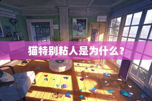 猫特别粘人是为什么？