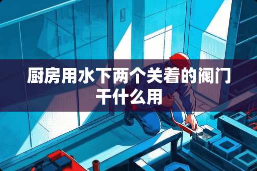厨房用水下两个关着的阀门干什么用
