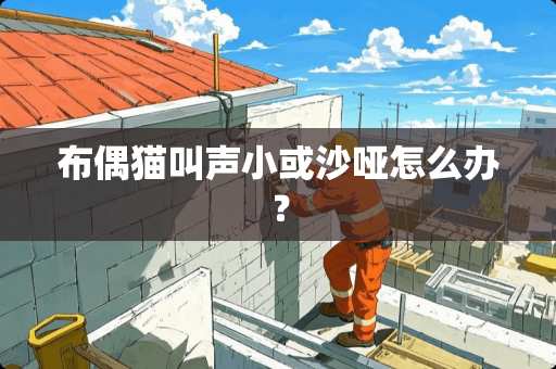 布偶猫叫声小或沙哑怎么办？