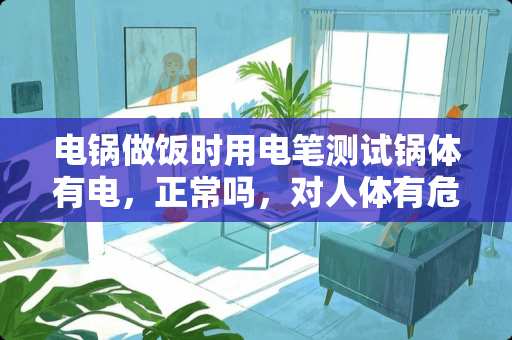 电锅做饭时用电笔测试锅体有电，正常吗，对人体有危险吗