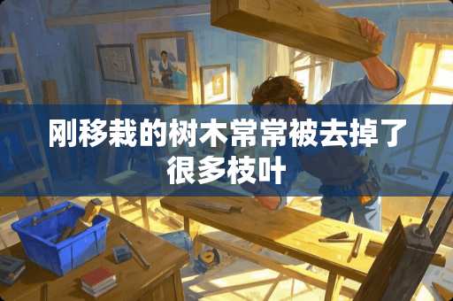 刚移栽的树木常常被去掉了很多枝叶