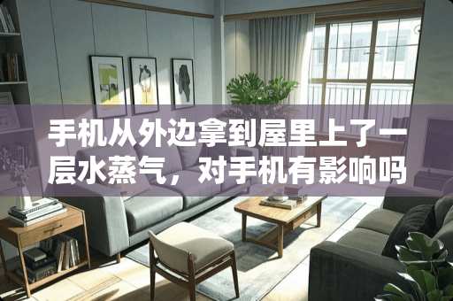 手机从外边拿到屋里上了一层水蒸气，对手机有影响吗？