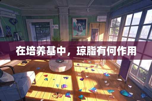 在培养基中，琼脂有何作用