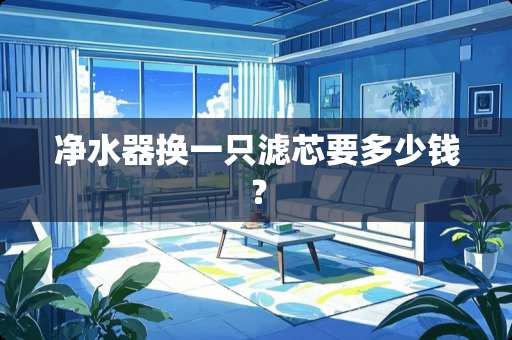 ***换一只滤芯要多少钱？