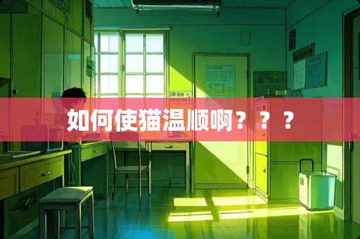 如何使猫温顺啊？？？