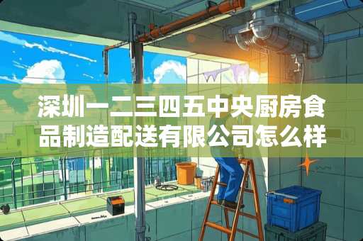 深圳一二三四五中央厨房食品制造配送有限公司怎么样？