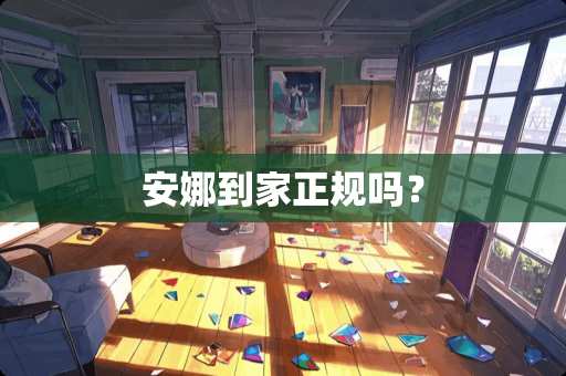 安娜到家正规吗？