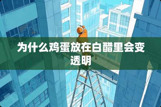 为什么鸡蛋放在白醋里会变透明