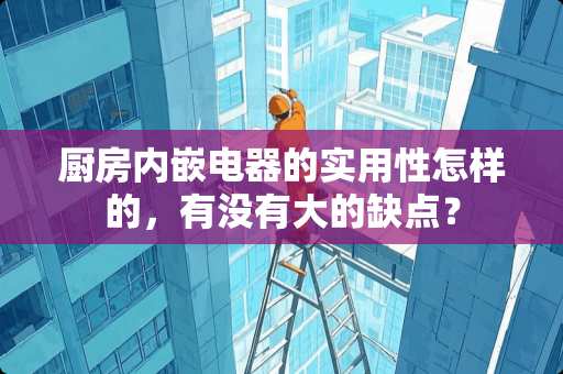 厨房内嵌电器的实用性怎样的，有没有大的缺点？
