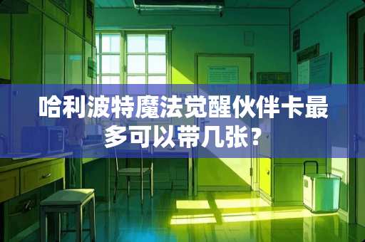哈利波特魔法觉醒伙伴卡最多可以带几张？