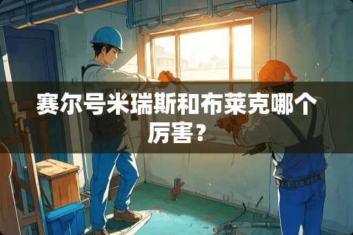 赛尔号米瑞斯和布莱克哪个厉害？