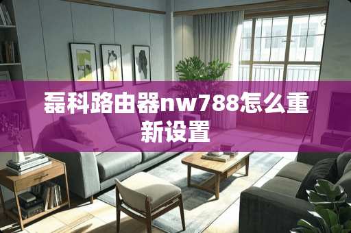 磊科路由器nw788怎么重新设置
