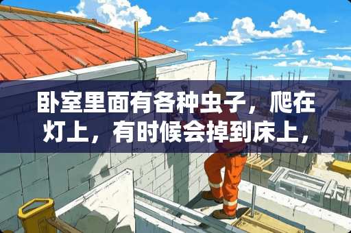 卧室里面有各种虫子，爬在灯上，有时候会掉到床上，感觉打不完，咋么办？