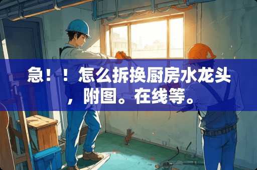 急！！怎么拆换厨房水龙头，附图。在线等。