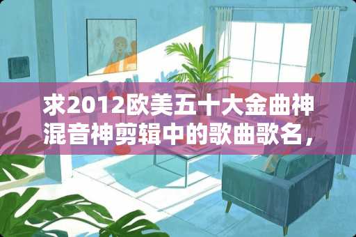 求2012欧美五十大金曲神混音神剪辑中的歌曲歌名，谢谢！
