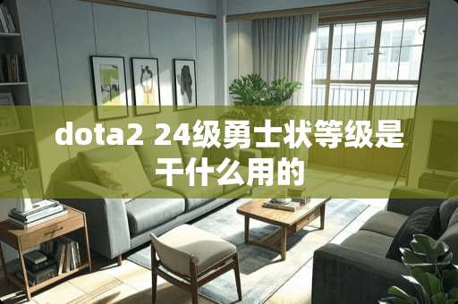 dota2 24级勇士状等级是干什么用的