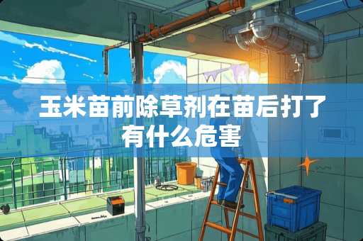 玉米苗前除草剂在苗后打了有什么危害