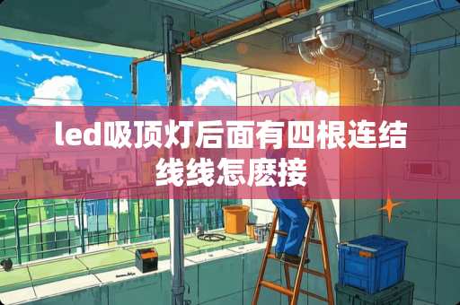 led吸顶灯后面有四根连结线线怎麽接