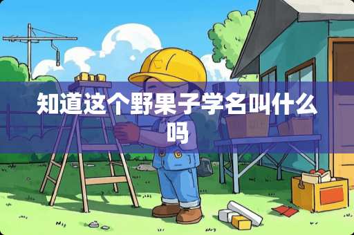知道这个野果子学名叫什么吗
