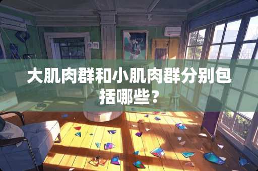 大肌肉群和小肌肉群分别包括哪些？