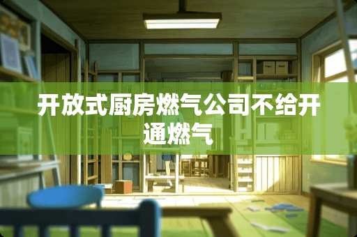 开放式厨房燃气公司不给开通燃气